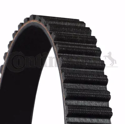 CONTITECH CT952 Triger Kayısı ERS0815
