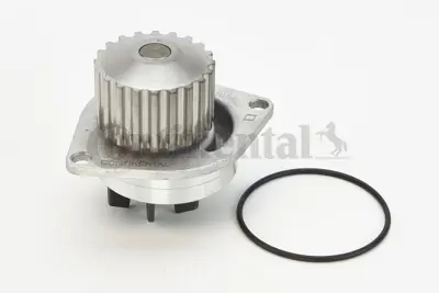 CONTITECH WP6026 Su Pompası 210106F907 GWP346 PEE002710EVA