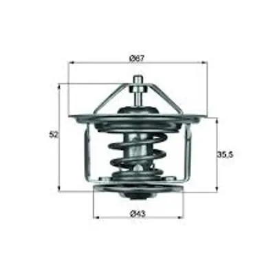 BEHR MAHLE TX1780D Termostat 11531254065