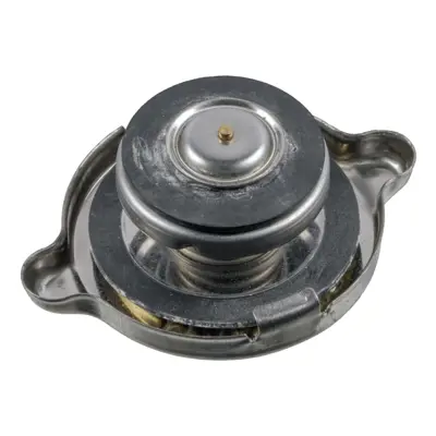 FEBI BILSTEIN 02359 Radyator Kapagi Mini R50 R52 R53 W10 A1235010215