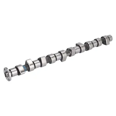 FEBI BILSTEIN 05029 Eksantrik Mılı A6020501301