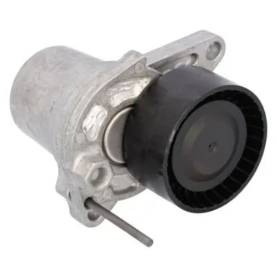 FEBI BILSTEIN 100188 Alternator Gergi Rulmani (Kutuklu) Qashqai Xtrail Fluance Megane Iii Scenic Iii 1 6 Dci R9m Motor Mercedes W205 14> W447 14> 117505337R