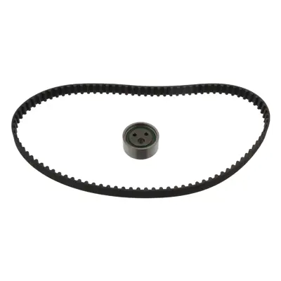 FEBI BILSTEIN 11157 Eksantrik Rulman Kiti (Triger Seti) R19 Megane Scenıc Clıo Express 1,6ı - 1,6 - 1,4 K7m - E7j 7701472726