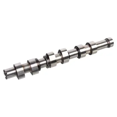 FEBI BILSTEIN 172023 Vag Eksantrik Mılı Egzoz, Silindir 1-3 3E109101AA