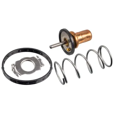 FEBI BILSTEIN 172432 Termostat 1322000015SK