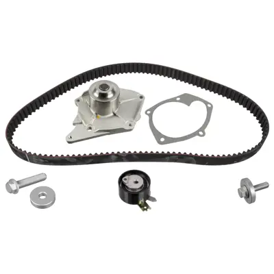 FEBI BILSTEIN 173039 Eksantrik Gergi Kiti (Devirdaimlı ,123x270) N.Qashqaı Juke Mıcra Note R.Clıo Megane Fluence Kango Sc 1276184A50S4 1680600QBES4 8200537033S4