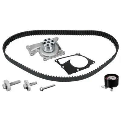 FEBI BILSTEIN 173163 Devirdaimlı Eksantrik Gergi Kiti (123×270) Clıo Megane Fluence Kango Scenıc Tvng Logan 1.5 Dcı (K9k) 8200537033