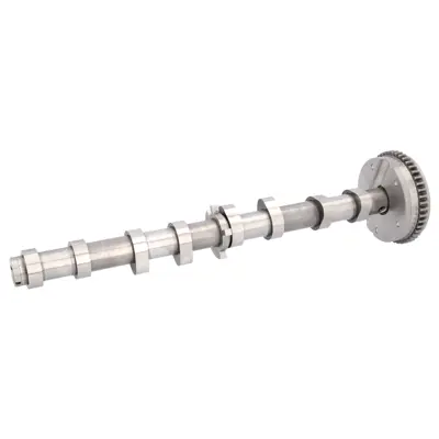 FEBI BILSTEIN 175291 Eksantrik Mılı A3 Quattro (8p), A3 (8p), A4 Quattro (8k), A4 (8k), A5 Quattro (8f), A5 Quattro (8t), 6H109021K