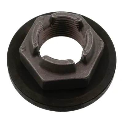 FEBI BILSTEIN 18695 Aks Somunu 96FB3B477AB