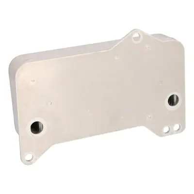 FEBI BILSTEIN 188365 Yag Sogutucusu 0GC317019A