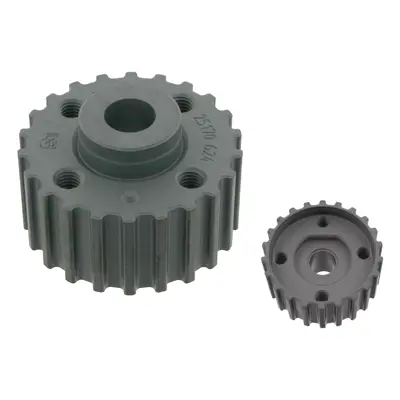 FEBI BILSTEIN 25170 Krank Kasnagi Caddy Golf Passat Poloc T4 A4 A6 A80 Cordoba Ibiza 1 9tdi - Sdi92>06 028105263D