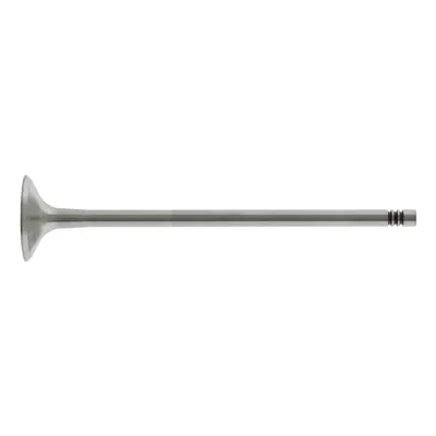 FEBI BILSTEIN 26528 Supap Egzoz 22109611P