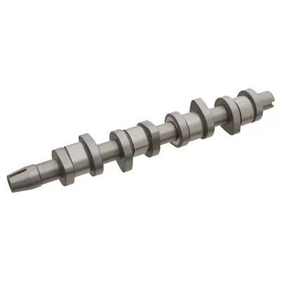 FEBI BILSTEIN 29852 Eksantrik Mılı Passat Caddy T5 A3 1.9 Tdı Axb Axc Avf Awx Bjb Bkc 38109101R