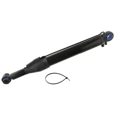 FEBI BILSTEIN 31869 Kabın Lıftı - Scanıa           1549738