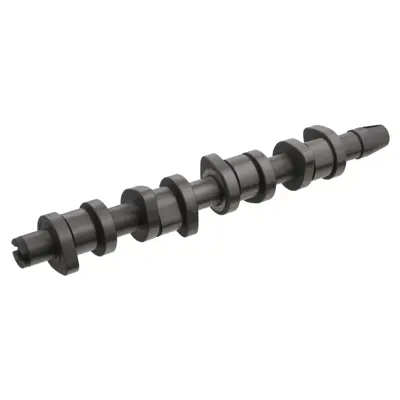 FEBI BILSTEIN 33193 Vag Eksantrik Mılı 38109101AF