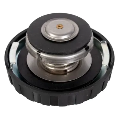 FEBI BILSTEIN 47561 Radyator Kapagi P107 P206 P207 P307 P407 Partner Tepeee C2 C3 C4 Berlingo Iii Partner Berlingo P306 P206 Xsara Jumpy Dw8 - Dw8b P605 Xm P406 Xantia 2 1td P205 P405 P309 Zx C15 P406 Xantia Bx Expert Jumpy Xud7 - Xud9 11531486703 11537829959 11537829960 11537596787 4693175AA 52006926