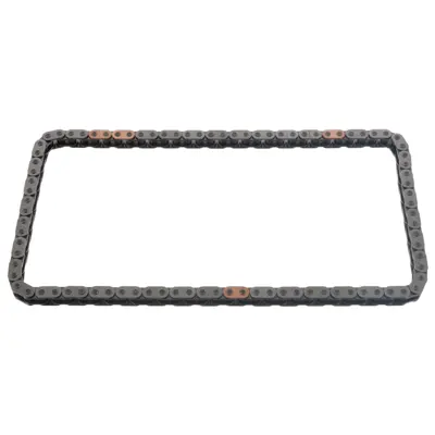 FEBI BILSTEIN 48572 Eksantrik Zıncırı 243614A700