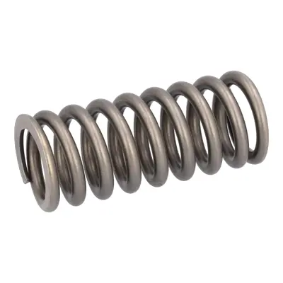 FEBI BILSTEIN 186613 Subap Yayı 1307115