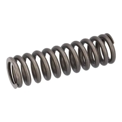 FEBI BILSTEIN 187754 Subap Yayı - Scanıa   P-G-R-S-L Serısı 2769870