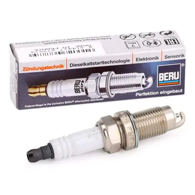 BERU Z200 Bujı 101905617