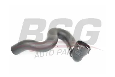 BSG 65-720-200 Radyatör Hortumu Alt 13191206 6336132 GM13191206