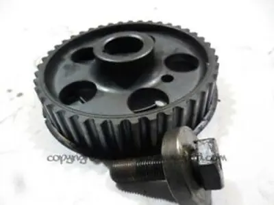 OPAR 55264864 Dıslı                 Ln-Br-Gp 55264864 55183529