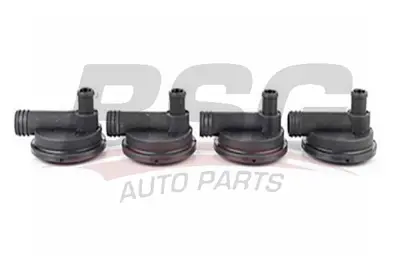 BSG 90-720-040 Havalandırma Valfı 074129101