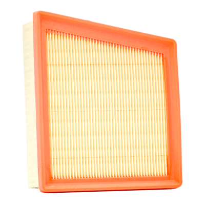 BSG 30-135-045 Hava Filitresi L1B19601AB