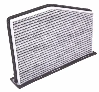 BSG 90-145-008 Polen Filitresi 1K0819644A