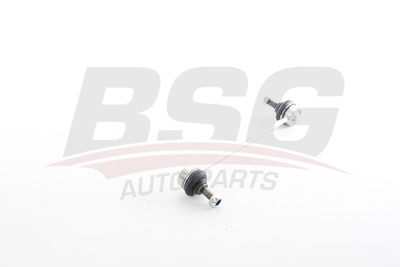 BSG 65-310-098 Vıraj Askı Rotu Ön 95947829 4056A015