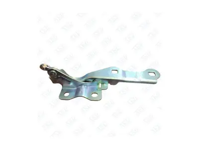 AKD OP195109 Motor Kaput Menteşesi Sağ Cruze 95406039