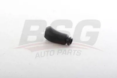 BSG 75-465-002 Vıtes Topuzu 8200079112, 8200379950