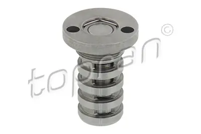 TOPRAN 113724001 Eksantrik Gergi Cıvatası (Mıl Ayarı) Vw Passat 1.8tsı 2.0tsı 08- Audı A1 A3 2.0tfsı 08> Cdaa Ccza Cd 11091788401 30940201 40201 427001610 554054A OCV0103