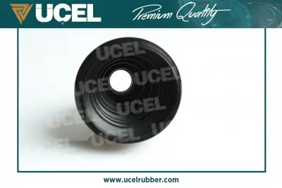 ÜÇEL S10891 Aks Korugu Dıs Master3 130589 1904043 25594 613469 613488 613589 VKJP1350 VKJP1485