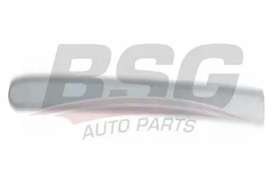 BSG 30-924-042 Kapı Bandı Ön Sol BSG30924042 30924042 98BBF20939CAXWAA