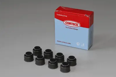 CORTECO 19020513 Yeni Kod: 19020514 (Fpm Kıt Pv 5,5-4) 705354700 705354710