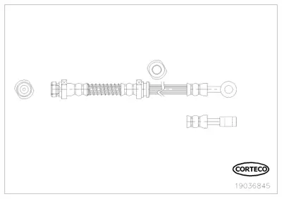 CORTECO 19036845 Fren Hortumu 1987481887 6606175