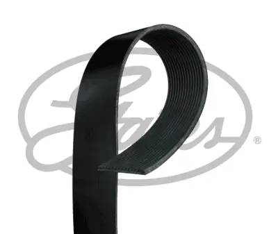 GATES 15PK1550HD Gates Kanallı Kayış 