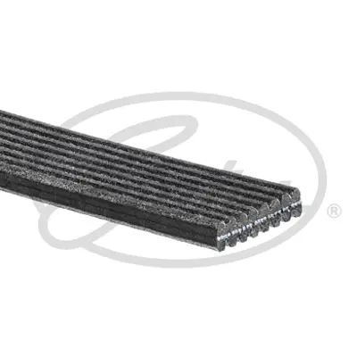 GATES 8DPK1825 Kanallı Kayış Bmw 7, X6 3.0 B. F01,F02,E71 500081827D 8DPK1833