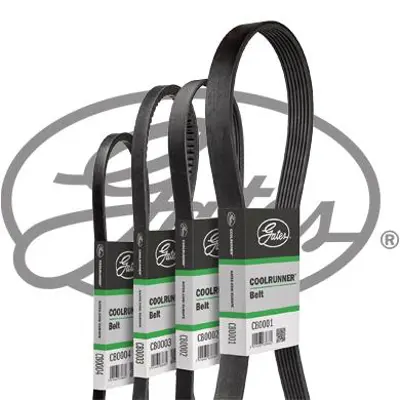 GATES CB0026 Kanallı V Kayışı CP10559