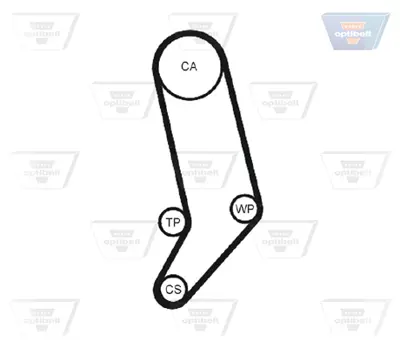 OPTIBELT KT 1442 W1 Su Pompalı Triger Seti Vw Transporter Iv Minibüs/Otobüs (70b, 70c, 7db, 7dk, 70j, 70k) 2.5 Tdı 95>03 KP15323XS VKMC01270
