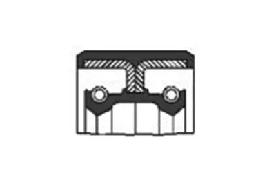 SKT 040442 (30*47*10)(Nbr/L3x) Yakıt Pompa Keçesi Scanıa 143 1301890