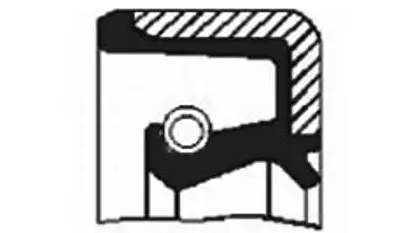 SKT 045421 (41,28*65,50*13,09)(L12l/Nbr) Yağ Keçesi 1363422