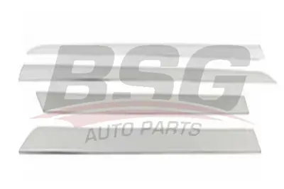 BSG 65-924-005 Kapı Bandı Takım 5172408517240951724065172407
