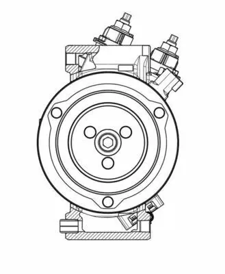 BEHR MAHLE ACP 654 000P Klima Kompresörü JX6119D629HC