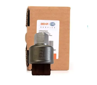 BEHR MAHLE ASW 21 000S Klima Müşürü 1854773, 90359991