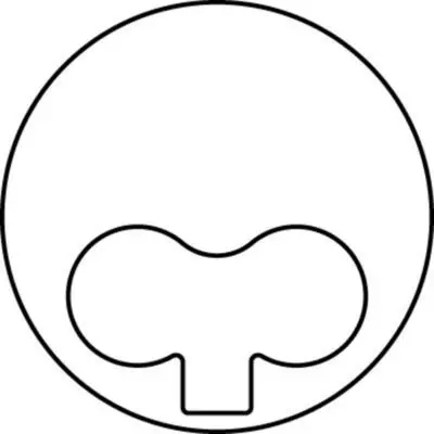 BEHR MAHLE 0093801 Motor Pıston Segman Ducato Movano Master 2,5 Duz (Bıyel Kolu Duz Tıp) 93,40mm (0,40 Farklı) Pım Cap: (32*75,2) 4 Ad 98489714