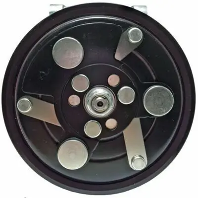 BEHR MAHLE ACP 359 000S Klima Kompresörü 9800849780