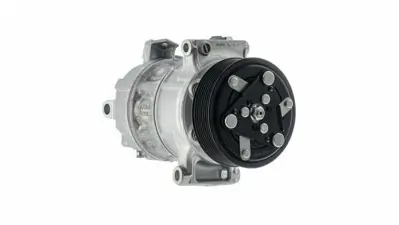 BEHR MAHLE ACP 541 000P Klima Kompresörü 926001268R, 926009307R, 998801604, 1761E