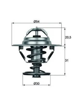 BEHR MAHLE TX1076D Termostat 76 °c Conta Ile  Volvo Truck F12 875787